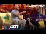 hurricane and adrian|Adrian Stoica & Hurricane deliver heartwarming moments and.